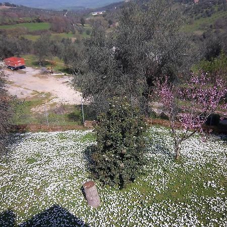 Agriturismo Norianino Монтемерано Екстер'єр фото