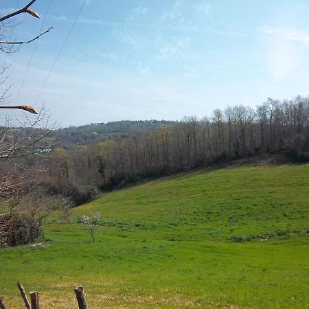 Agriturismo Norianino Монтемерано Екстер'єр фото