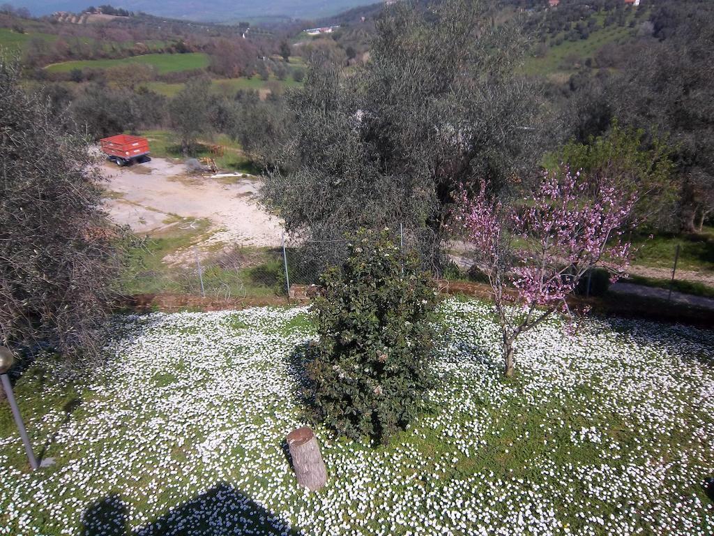 Agriturismo Norianino Монтемерано Екстер'єр фото