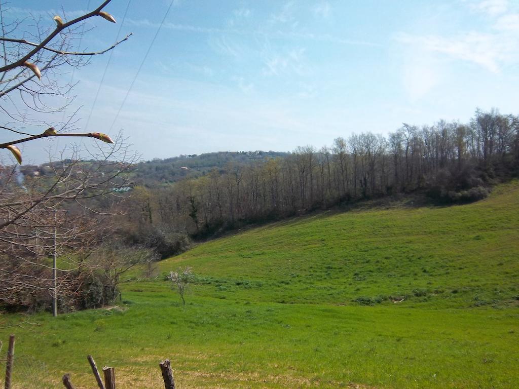 Agriturismo Norianino Монтемерано Екстер'єр фото